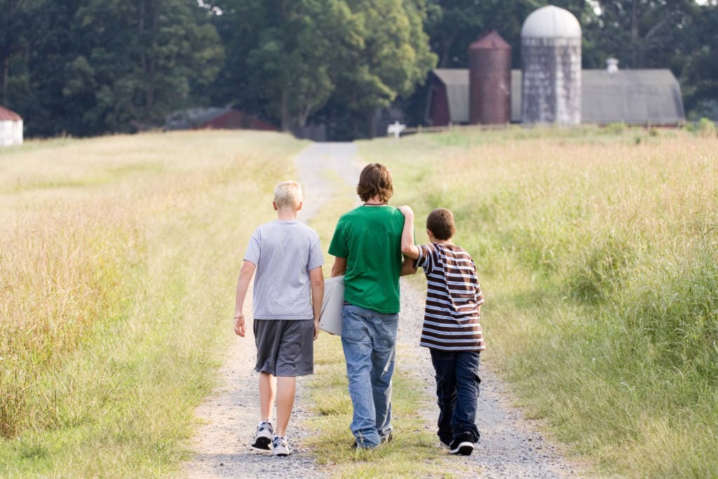 three boys walking away from camera. on farm