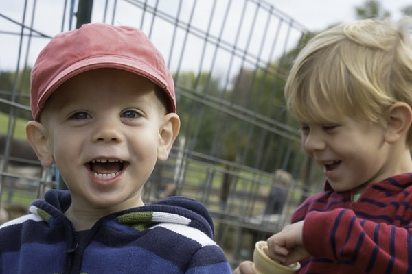 2 little boys, close up, laughing