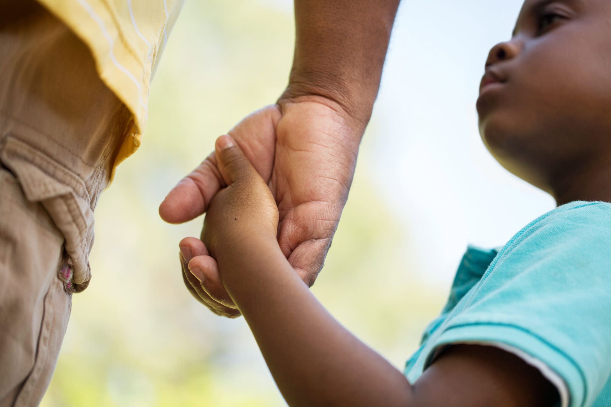 Seven Core Adoption Issues for Adoptees, Birth Parents, and Adoptive ...