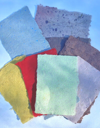 Petals and Pulp Paper Making